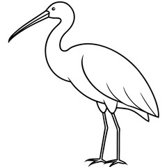 Obraz premium Spoonbill Outline Vector in Simple Line Style