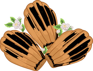 Three madeleine pastries are showing in sketch style with chocolate drips, blossoms, transparent bg