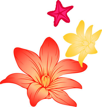 Fototapeta Flat design showing gradient lily, yellow bloom and magenta star floating on transparent background