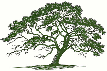 Majestic oak tree illustration green foliage