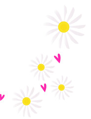 Vector art is showing white daisies diagonally with pink hearts on transparent backdrop