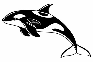 orca sihouette black vector