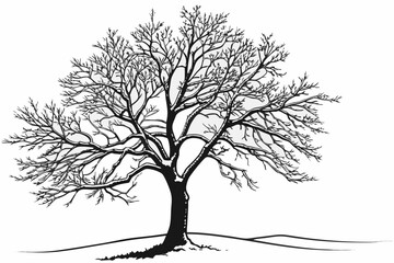 Fototapeta premium Bare winter tree in a snowy landscape