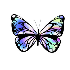 Flat design butterfly is showing pastel gradient wings with black veins on transparent background