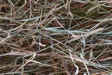 Close-Up of Dry Hay Straw Texture Background