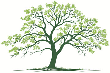 Green leafy tree illustration on white background