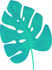 Naklejka premium Stylized monstera leaf featuring flat design with gradient turquoise tones, transparent background