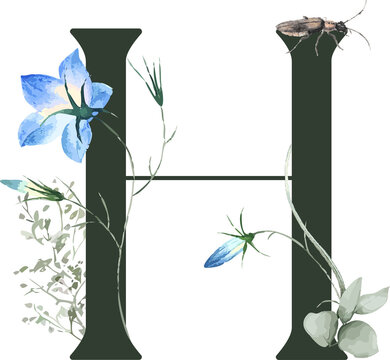 Fototapeta Decorative initial H is showing in watercolor with transparent background, vines and perched insect