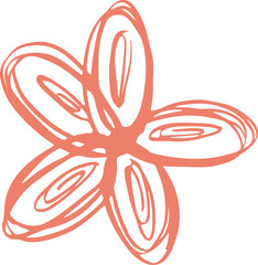 Abstract coral doodle is being shown in flat design five petal flower loops, transparent background