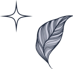 Naklejka premium Stylized leaf line-art illustration is showing flowing veins with starburst, transparent background