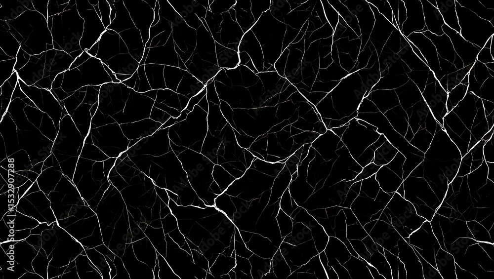Poster abstract white lines on black background intricate network texture