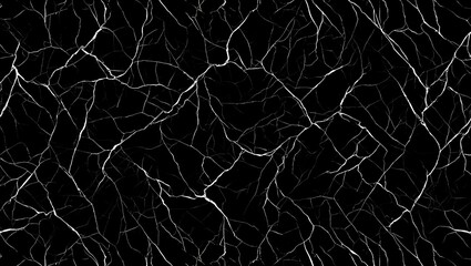 Abstract White Lines on Black Background Intricate Network Texture