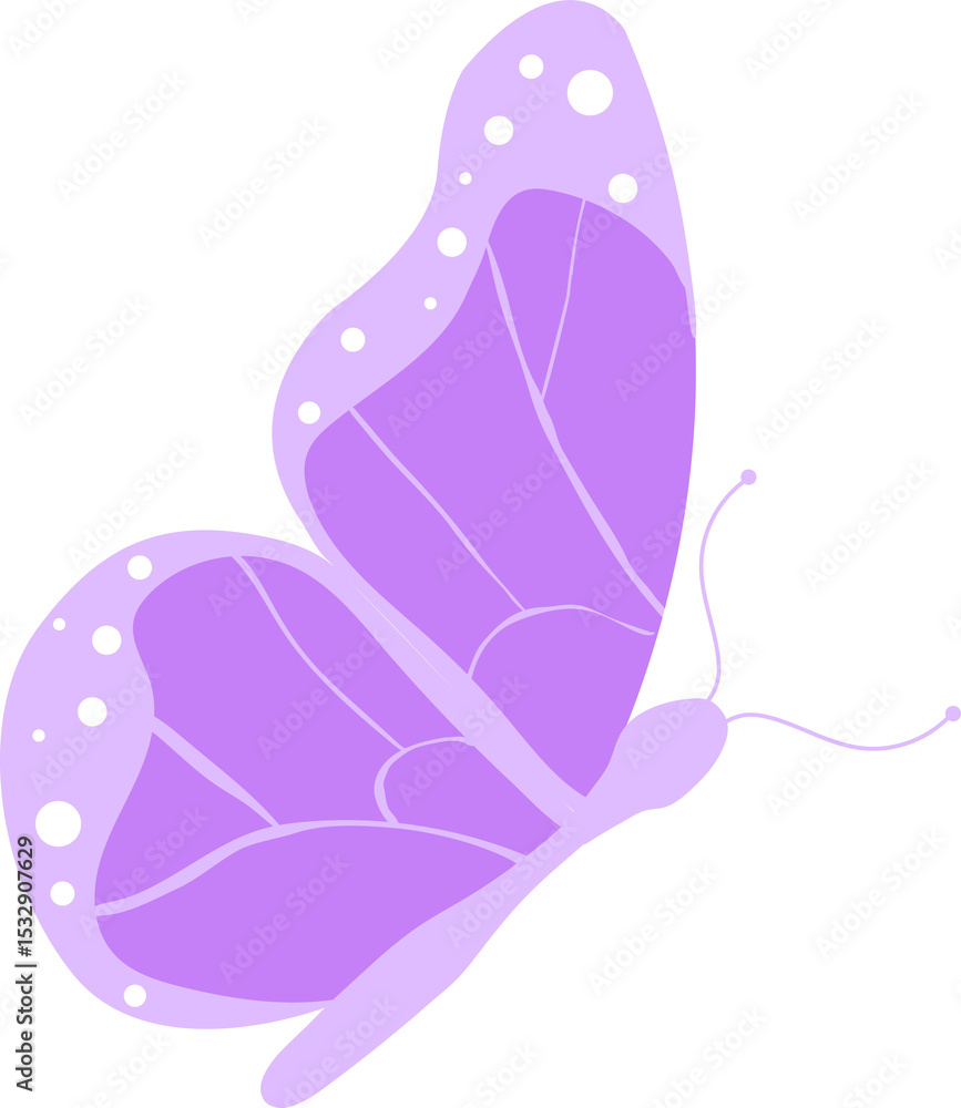 Poster purple butterfly is displaying vein patterns and white spots in flat vector, transparent background