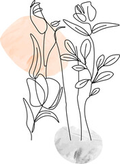 Minimal botanical illustration is showing stems on peach gray paint strokes, transparent background