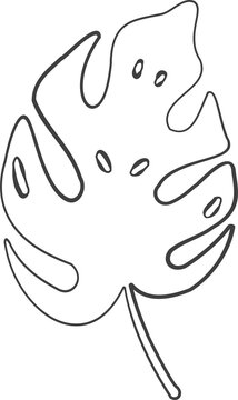 Fototapeta Stylized Monstera leaf outline drawing is floating on transparent background, simple uniform stroke
