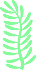 Green fern frond illustration is displaying flat minimalist graphic style on transparent background