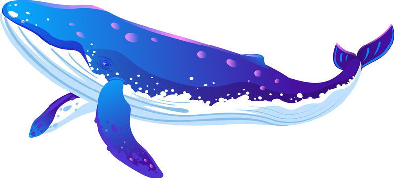 Vector-style whale is floating against transparent backdrop, with gradient shading and accents