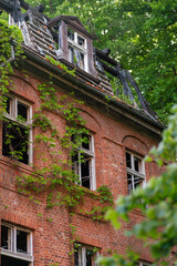Photo of an abandoned red brick house with a damaged roof and empty window frames. The facade is overgrown with green climbing plants, emphasizing a sense of decay and the passage of time. The house 
