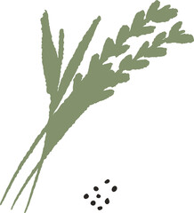 Botanical grain stalks and loose seeds are floating in flat design with transparent background