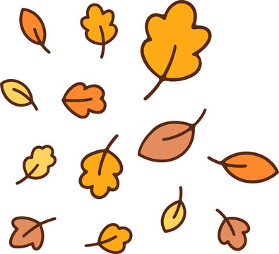 Fototapeta Stylized autumn leaves are falling in flat design with transparent background and warm hues