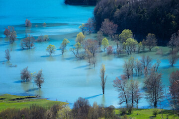bank of a river of turquoise waters with the riverbed overflowing due to the abundant rainfall, trees partially flooded