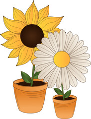 Yellow sunflower and daisy are standing in flat design in terracotta pots, transparent background