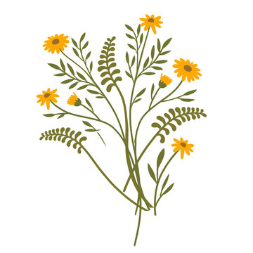 Flat design showing yellow daisy bouquet with green stems and fern leaves on transparent background