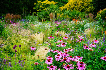 View of a well planted varied flowerbed