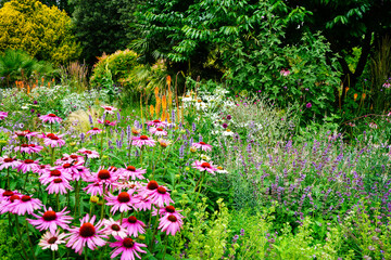 View of a well planted varied flowerbed
