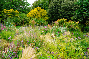 View of a well planted varied flowerbed