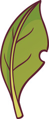 Vector-style green leaf is appearing on transparent background, showcasing maroon outline and veins