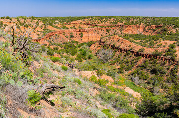 Steep Red Walls of Holmes Creek Canyon, Caprock Canyon State Park, Quitaque, Texas, USA