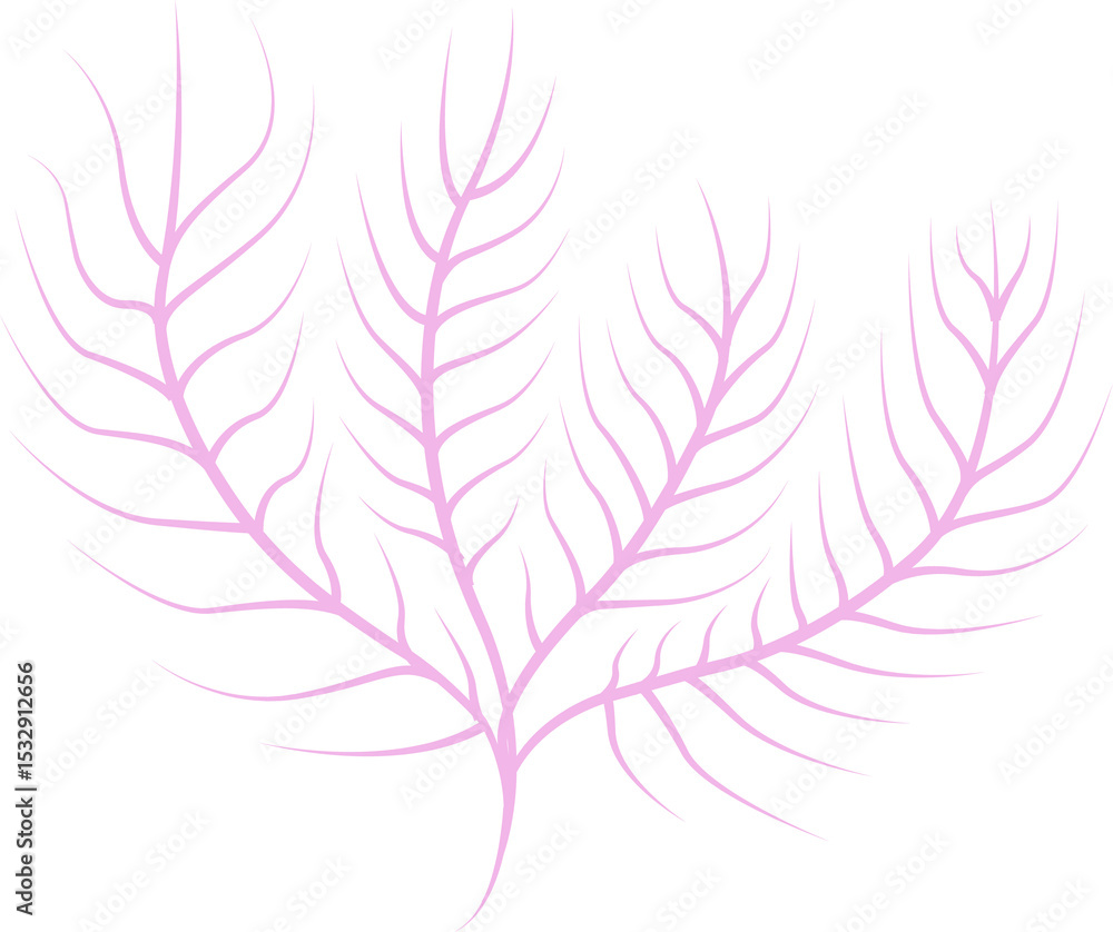 Poster flat design abstract pastel pink branching shape is floating on transparent background, copy space