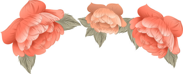 Three peach blooms and sage leaves are curving in flat illustration on transparent background