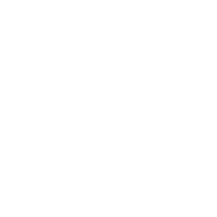 Line art emblem is showing lotus petals, central bar, heart curves, dot on transparent background
