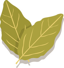 Pair of olive-green leaves are overlapping in flat design on transparent background with pale veins