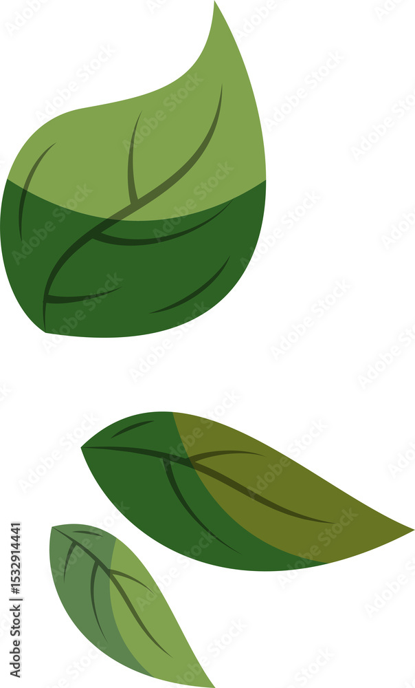 Poster displaying four stylized flat leaves with curved veining and smooth edges on transparent background