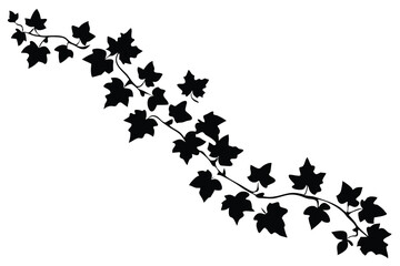 realistic ivy leaves trailing green vines