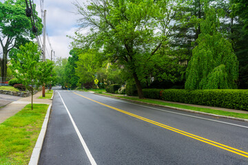 Calm suburban neighborhood road with vibrant spring foliage and quiet sidewalks in Newton, Massachusetts, USA