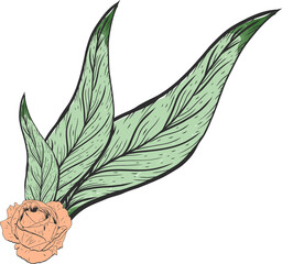 Floral motif floating on transparent background in flat design, showing peach rose and green leaves