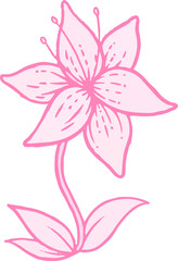 Hand-drawn six-petaled pink flower is floating on transparent background, showing stem and leaves