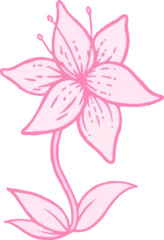 Fotobehang Hand-drawn six-petaled pink flower is floating on transparent background, showing stem and leaves © vectorfusionart