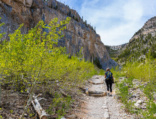 Female Hiker on The Echo Trail, Spring Mountains National Recreation Area, Nevada, USA