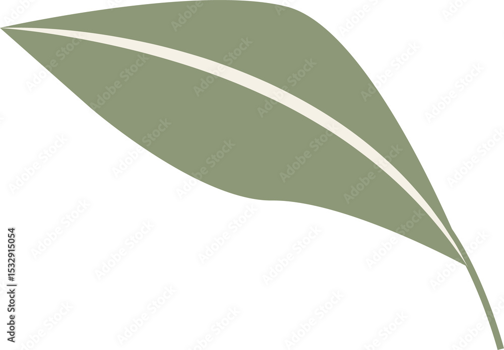 Poster stylized leaf design is being displayed flat, showing green midrib stripe on transparent background
