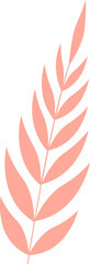 Flat design stylized leaf branch is featuring alternating coral leaves on transparent background