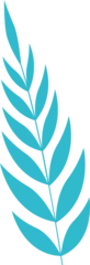 Fotobehang Stylized leaf branch floating on transparent background, showcasing turquoise botanical motif © vectorfusionart