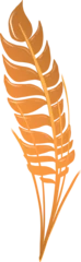 Fotobehang Stylized orange feather leaf is floating in vector with gradient shading on transparent background © vectorfusionart
