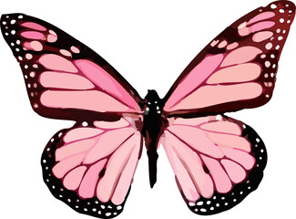 Flat pink butterfly unfolding wings, pink gradient, brown edges, transparent background
