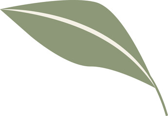 Stylized leaf design is being displayed flat, showing green midrib stripe on transparent background