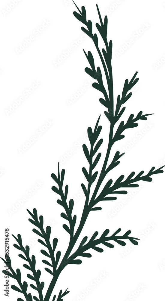Poster stylized botanical twig is showing dark green flat vector with leaflets, transparent background